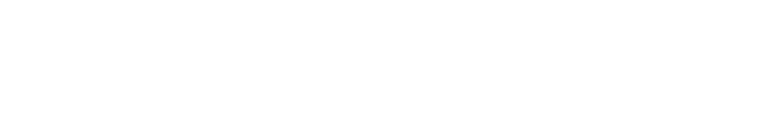 Race Logo